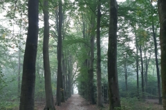 03-prachtige-laantje
