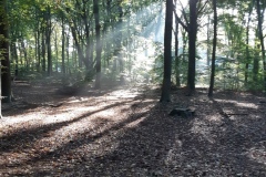 022-Zonneharpen-2022