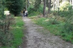 04-onze-uitpijlers-in-het-Groesbeekse-bos